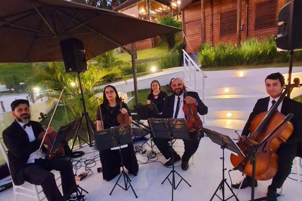 Grupo Ostinato