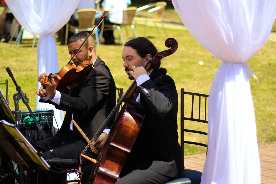 Imagem principal da galeria