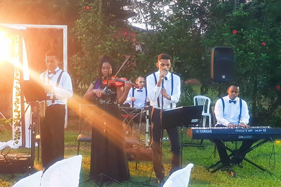 Foto principal de Musical Essence