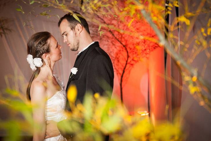 Sueli Fotografia
