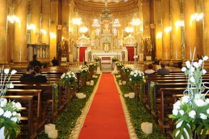 Vivo Desejo